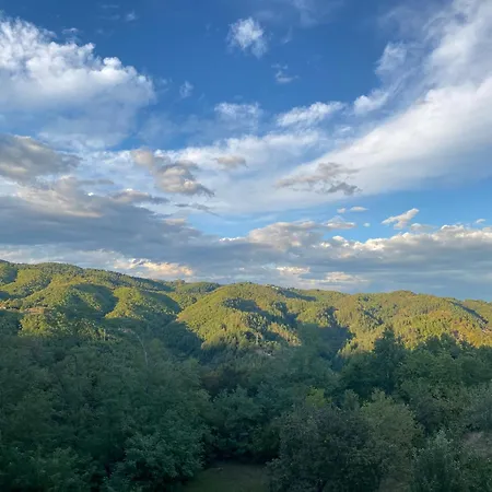 белият камък - Villa