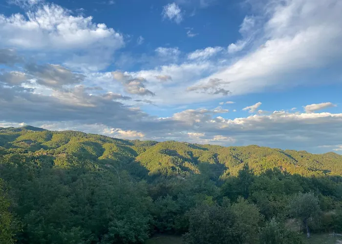 белият камък - Villa